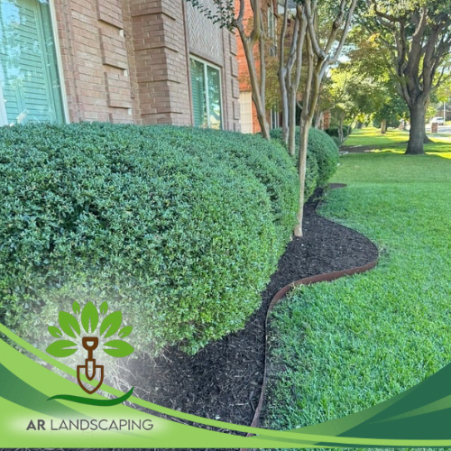 Professional hedge trimming